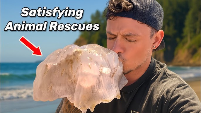 Discover Jacob Colvin's Shop: A YouTuber's Creative Haven! 4 - MCYT Store hq720 3 - MCYT Store